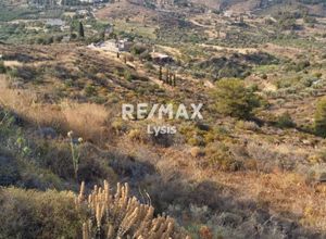 Photo 5,Οικόπεδο, 15700τ.μ.,Κοντός, Αίγινα (Νησιά Αργοσαρωνικού),€260.000