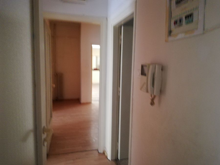 Photo 262101028