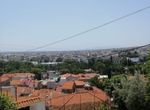 Photo 262223821