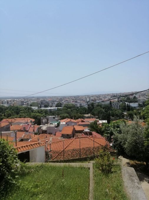 Photo 262223821