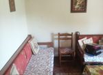 Photo 262223842