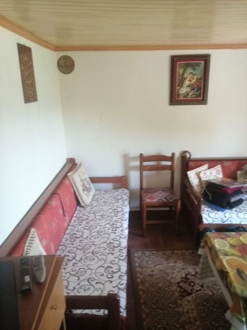 Photo 262223842