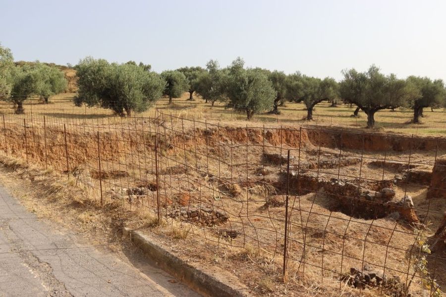 Real Estate Grad, Sparta, Lakonia