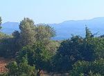 Photo 263532982