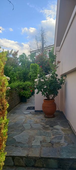 Photo 264415201