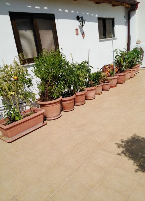 Photo 265518301