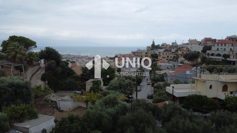 Photo 266073256