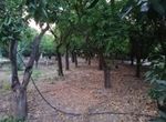 Photo 266198539