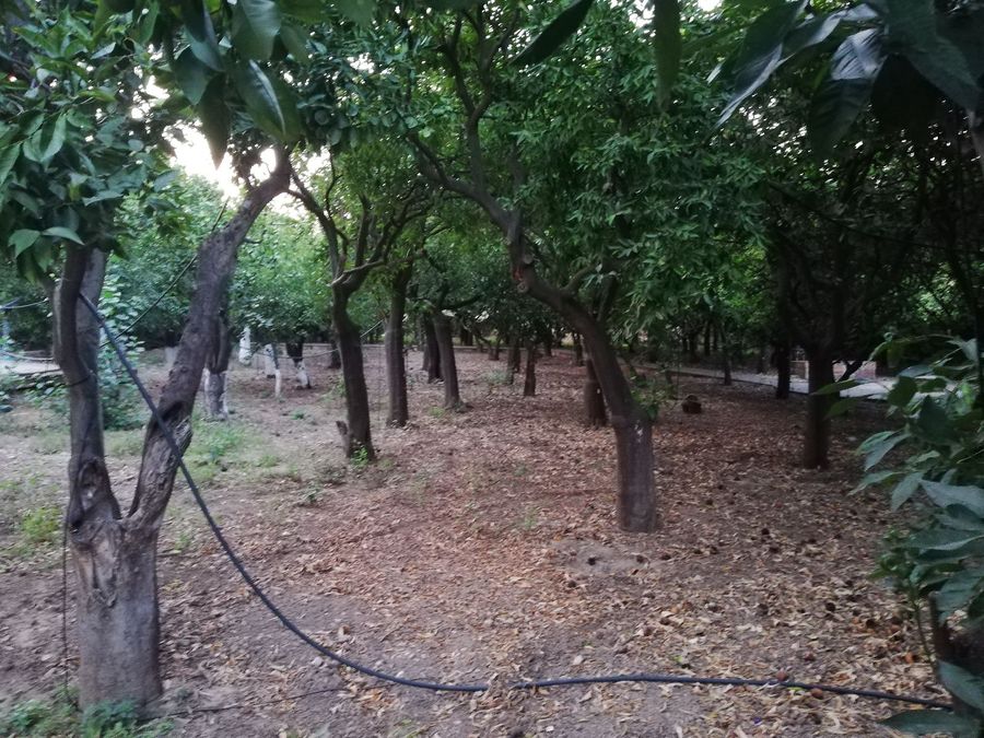 Photo 266198539