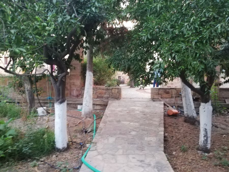 Photo 266198545