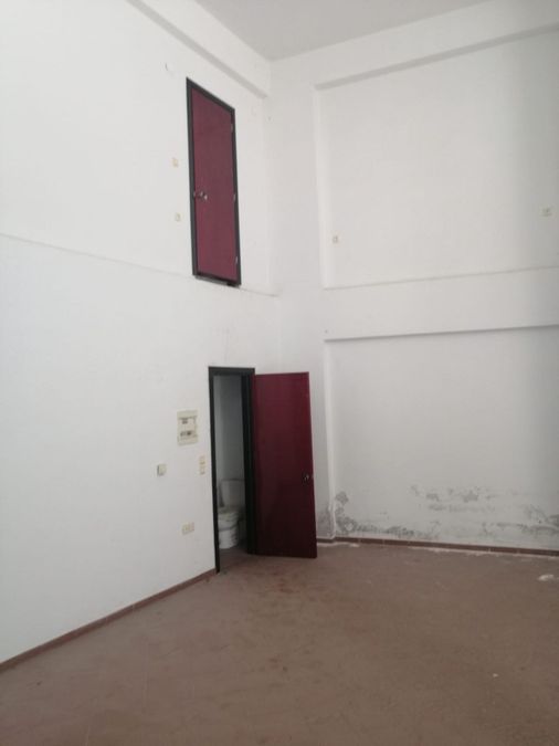 Photo 266558191