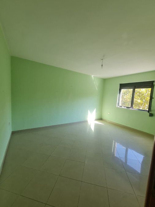 Foto 267665626