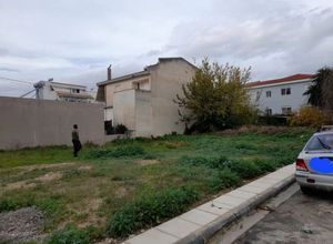 Plot Center