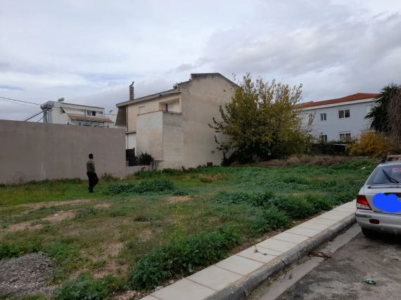 Plot Center