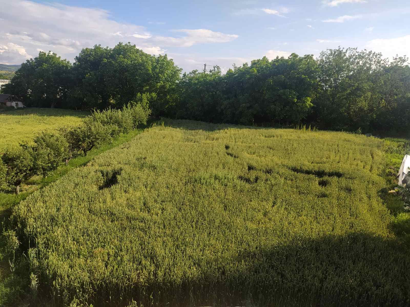 Kuća 298m2 na prodaju, Donje Vranje Oglas 14703847 Srbijanekretnine