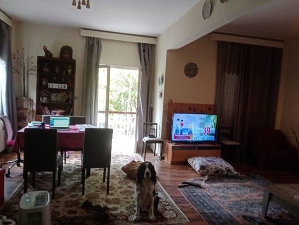 Photo 269212168