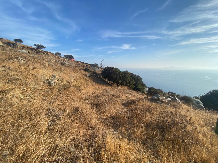 Photo 269864398