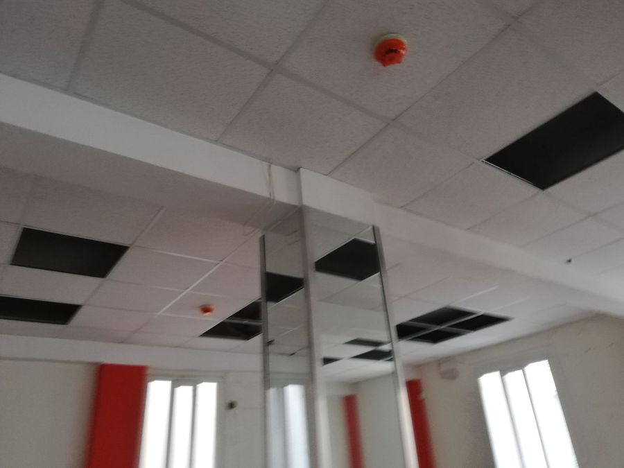 Photo 271322209