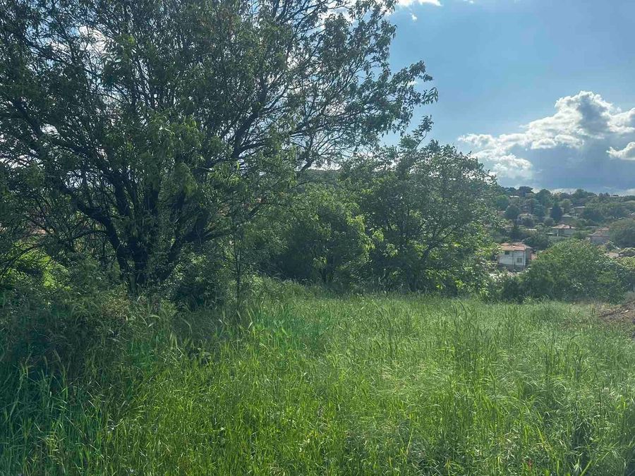 Снимка 272227981