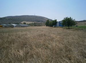 Αγροτεμάχιο, Δοκός