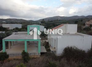 Photo 272375347