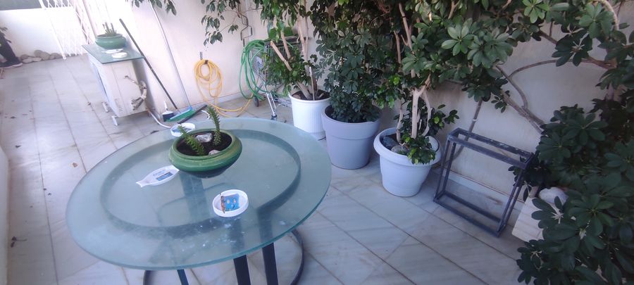 صورة فوتوغرافية 273110857