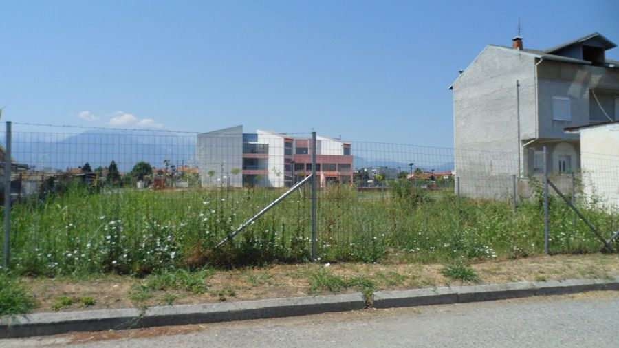 Photo 273452401