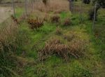 Photo 274489540