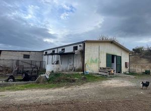 Sale, Farm, 6500m² Gorgolaini, Pentamodi | 15124098 | Spitogatos