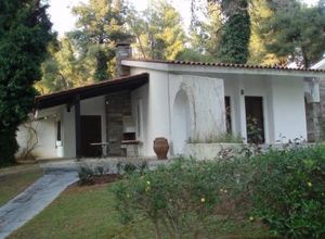 Μονοκατοικία προς πώληση Σανή (Κασσάνδρα) 90 τ.μ. 3 Υπνοδωμάτια