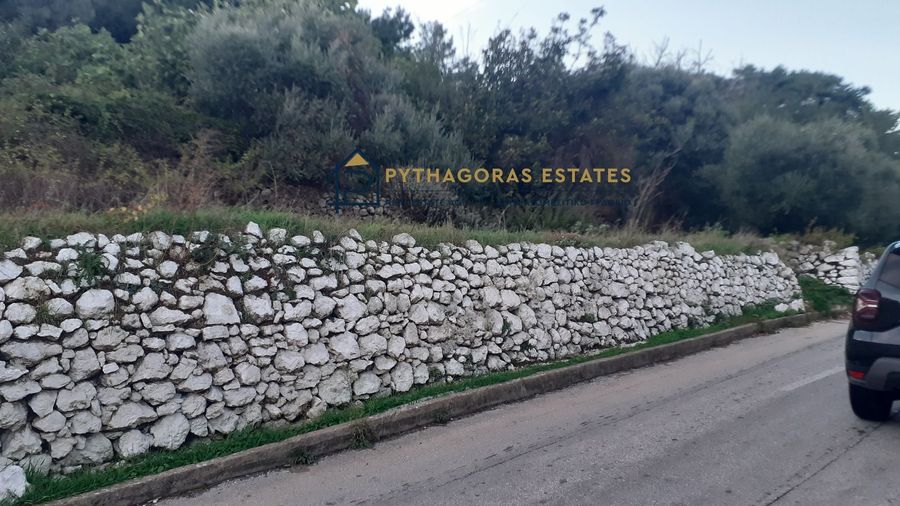 Photo 278639824