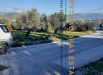 Photo 278758054