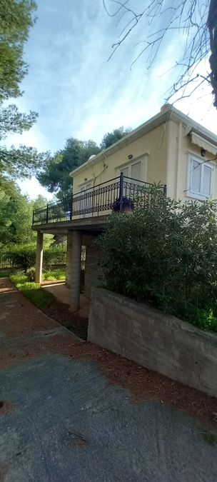 Photo 278905201