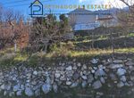 Photo 279198004