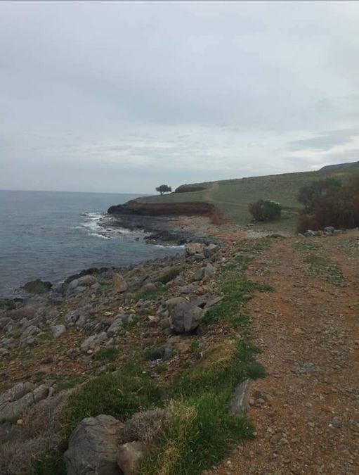 Photo 279523774