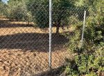 Photo 279683299