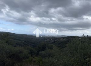 Photo 280971292