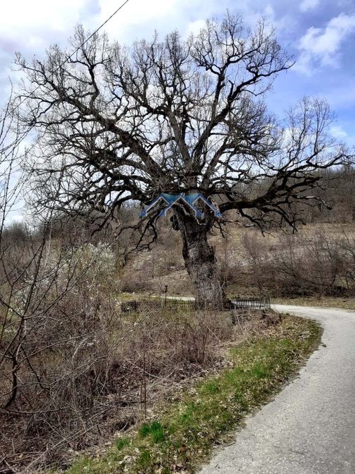 Снимка 281188789