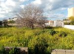 Photo 281472820