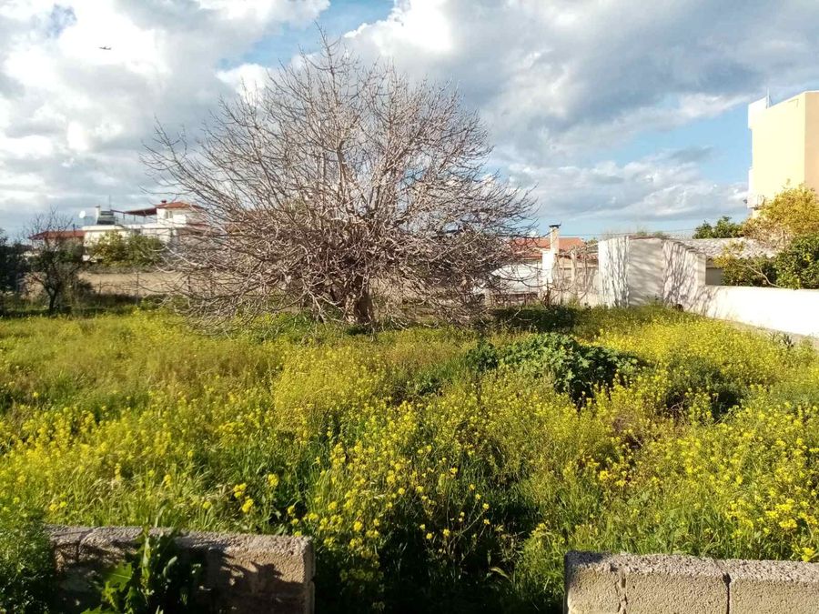 Photo 281472820