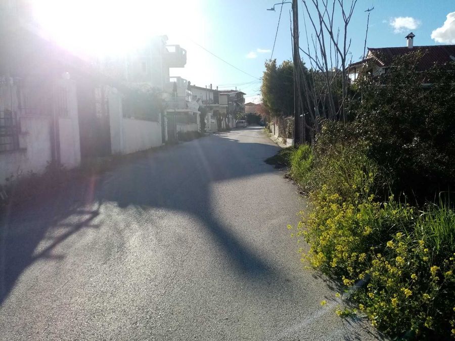 Photo 281472847