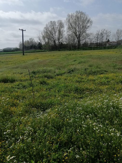 Photo 282726871