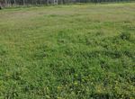 Photo 282726874