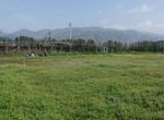 Photo 282726877