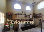 Photo 283818754