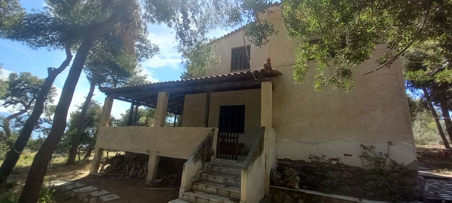 Photo 284627584