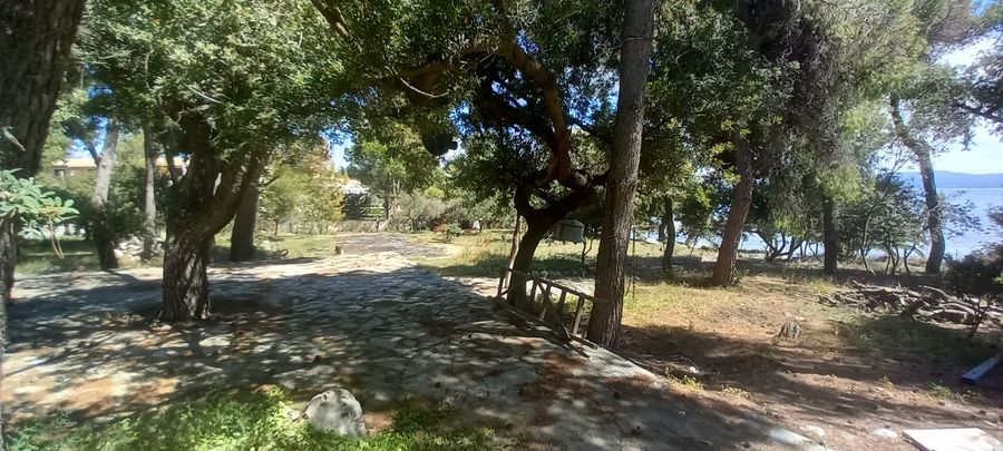Photo 284627776