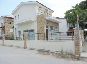 Κατάστημα, Σιθωνία