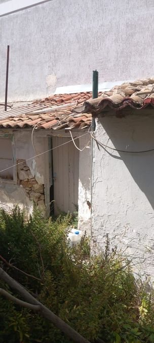 Foto 286573843