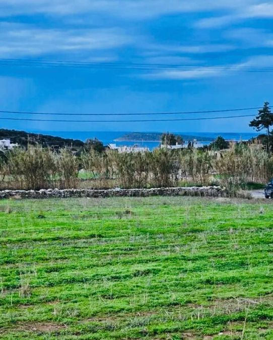 Plot Naousa